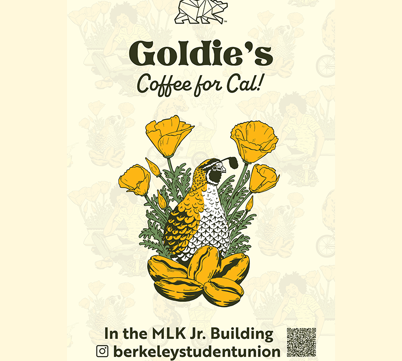 Goldies- Poster of quail